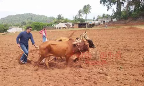 கலப்பை பிடித்து ஏர் உழுத கலெக்டர்