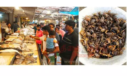 மீன் வாங்கும் அசைவ பிரியர்கள்