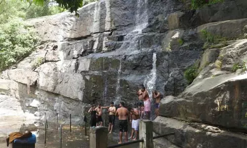 மேகமலை அருவியில் நீர்வரத்து குறைந்தது