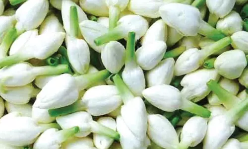 மல்லிகை கிலோ ரூ.300-க்கு விற்பனை