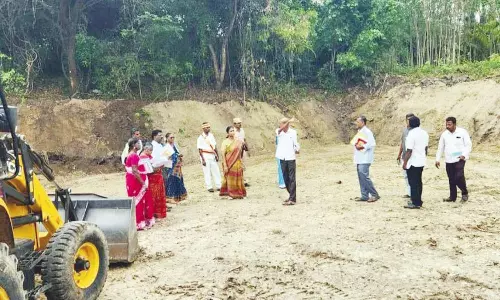 மாவட்டத்தில் வளர்ச்சி திட்டப்பணிகளை கலெக்டர் ஆய்வு