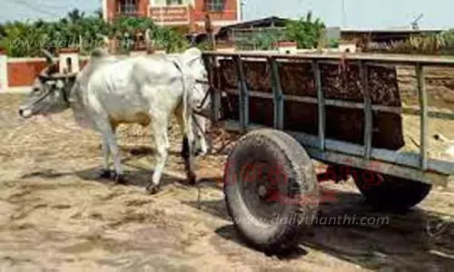 மணல் கடத்திய மாட்டு வண்டி பறிமுதல்