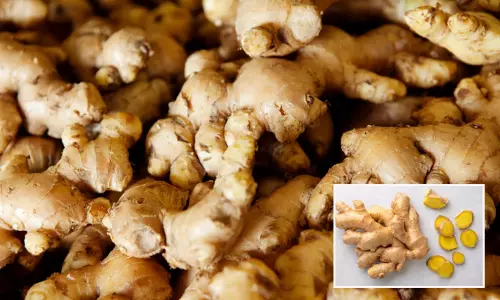 இஞ்சி கிலோ ரூ.230-க்கு விற்பனை