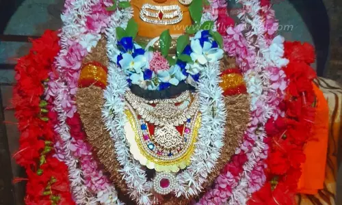 பரமத்திவேலூர், கோப்பணம்பாளையத்தில்ஆனி திருமஞ்சன விழா