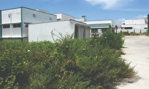 புதர் மண்டி கிடக்கும் ஒழுங்குமுறை விற்பனைக்கூட வளாகம்