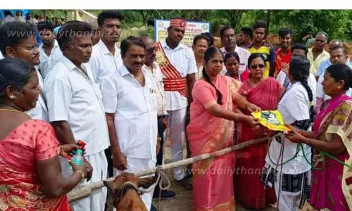 சிறப்பு கால்நடை மருத்துவ முகாம் சிறப்பு கால்நடை மருத்துவ முகாம்