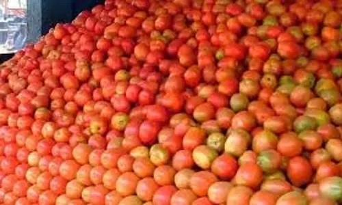 ஒரு கிலோ தக்காளி விழுப்புரத்தில் ரூ.80, கள்ளக்குறிச்சியில் ரூ.90-க்கு விற்பனை