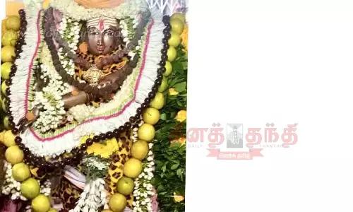 உற்சவ நடராஜருக்கு ஆனி திருமஞ்சன திருவிழா
