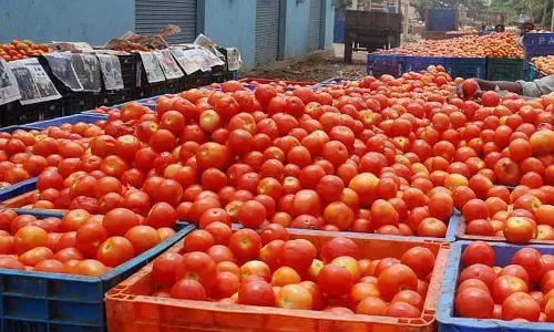 மழையால் விளைச்சல், வரத்து பாதிப்பு: தக்காளி கிலோ ரூ.100 ஆக உயர்வு