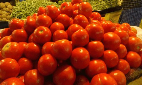 நெல்லை மார்க்கெட்டுகளில் சதம் அடித்த தக்காளி விலை