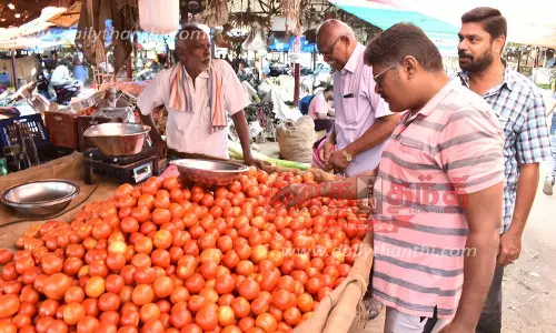 ஒரே நாளில் ரூ.30 உயர்ந்தது- ஈரோட்டில் ஒரு கிலோ தக்காளி ரூ.100-க்கு விற்பனை; இல்லத்தரசிகள் அதிர்ச்சி