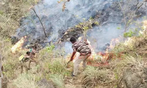 மேற்கு தொடர்ச்சி மலையில் தீ