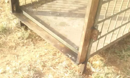 கூண்டை வட்டமிட்டு சிக்காமல் சென்ற சிறுத்தை