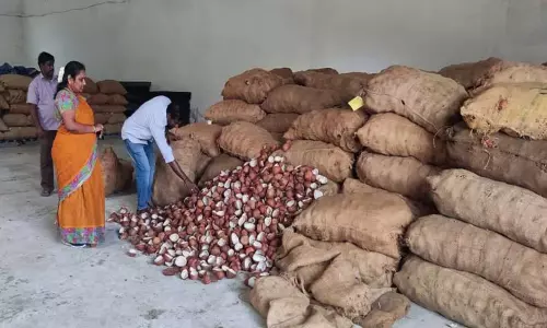 பொள்ளாச்சி ஒழுங்குமுறை விற்பனை கூடத்தில் 72,745 மூட்டை கொப்பரை தேங்காய் கொள்முதல்