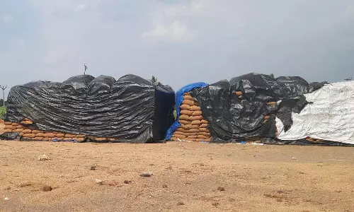 நெல்மூட்டைகள் மழையில் நனைவதை தடுக்க நேரடி கொள்முதல் நிலையங்களில் கொட்டகை அமைக்க வேண்டும்: விவசாயிகள் கோரிக்கை