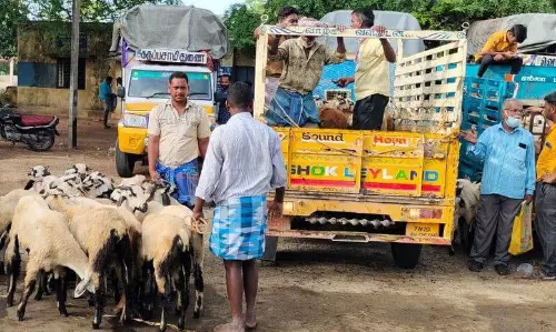 பக்ரீத் பண்டிகையை முன்னிட்டு அத்தியூர் வாரச்சந்தையில் ரூ.2 கோடிக்கு ஆடுகள் விற்பனை