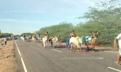 சீறிப்பாய்ந்த மாட்டுவண்டிகள் சீறிப்பாய்ந்த மாட்டுவண்டிகள்