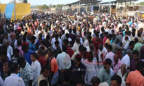 நெல்லை மேலப்பாளையம் சந்தையில் ரூ.6 கோடிக்கு ஆடுகள் விற்பனை