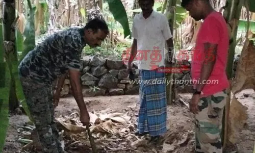 பங்களாப்புதூர் அருகே வீட்டு வாசலில் கட்டியிருந்த ஆடுகளை கடித்து கொன்ற சிறுத்தைப்புலி; பொதுமக்கள் வெளியே வரவேண்டாம் என்று ஒலிபெருக்கி மூலம் எச்சரிக்கை