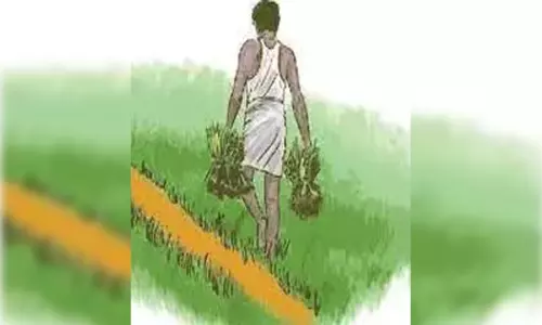 குறுவை தொகுப்பு திட்டத்தை விரைந்து பெற்றுத்தர வேண்டும்- விவசாயிகள்