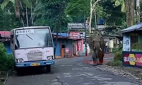 அரசு பஸ்களை வழிமறித்த காட்டுயானை