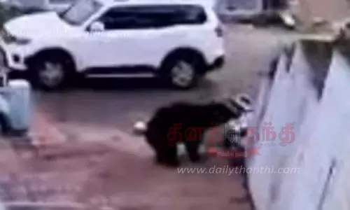 பள்ளிக்குள் புகுந்து பொருட்களை சேதப்படுத்திய கரடி