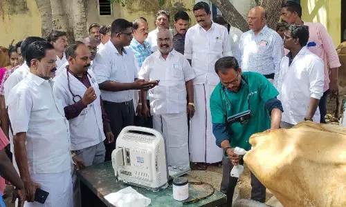 கால்நடை மருத்துவ முகாம் கால்நடை மருத்துவ முகாம்