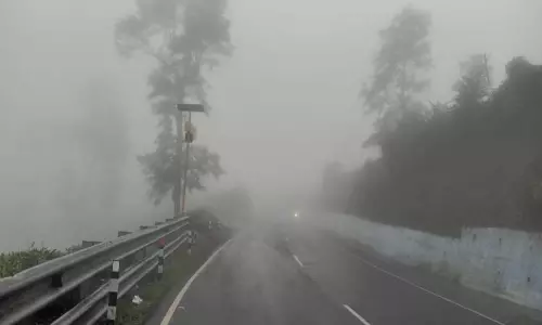 வால்பாறை-பொள்ளாச்சி மலைப்பாதையில் கடும் பனிமூட்டம்