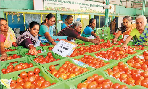 ரேஷன் கடைகளில் தக்காளி விற்பனை -அமைச்சர் பெரியகருப்பன் பேட்டி
