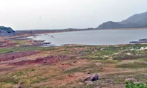 தென்மேற்கு பருவமழை தாமதம்: பி.ஏ.பி. அணைகளின் நீர்மட்டம் குறைந்தது- விவசாயிகள் கவலை
