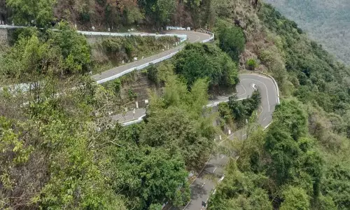 வால்பாறை - பொள்ளாச்சி மலைப்பாதையில் கொண்டை ஊசி வளைவுகளுக்கு பூக்களின் பெயர் சூட்டப்படுமா?- பொதுமக்கள், சுற்றுலா பயணிகள் எதிர்பார்ப்பு