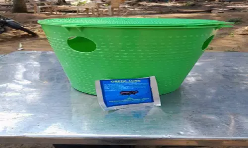 காண்டாமிருக வண்டை கட்டுப்படுத்த 50 சதவீத மானியத்தில் இனக்கவர்ச்சிப் பொறி-வேளாண் அதிகாரி தகவல்