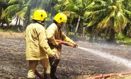 கரும்பு தோட்டத்தில் தீ கரும்பு தோட்டத்தில் தீ