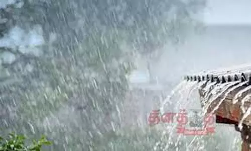 நெமிலி, அரக்கோணம் பகுதிகளில் பலத்த மழை