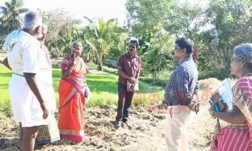 மதுக்கூரில், குறுவை சாகுபடி பணிகள்