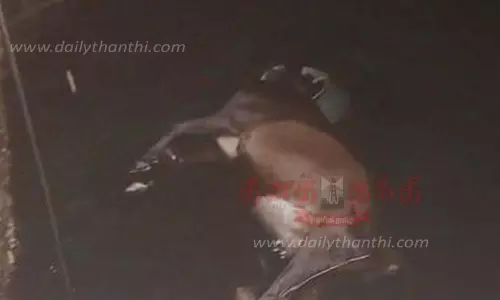 தண்ணீர் குடித்தபோது பானைக்குள் தலை சிக்கியதால் மிரண்டு ஓடிய பசுமாடு கிணற்றில் விழுந்து பலி