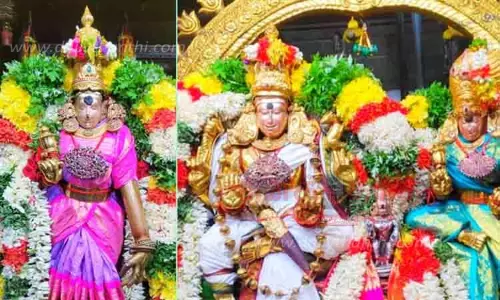 சிறப்பு அலங்காரத்தில் மீனாட்சி அம்மன்