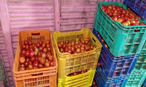 தக்காளி கிலோ ரூ.100-க்கு விற்பனை