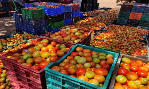 கிணத்துக்கடவு காய்கறி சந்தையில் தக்காளி கிலோ ரூ.108-க்கு ஏலம்