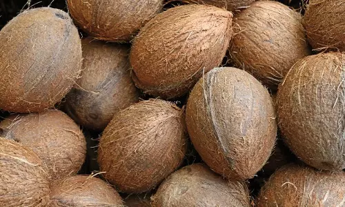 மத்திய அரசு பரிந்துரைத்தும்  உரித்த தேங்காயை கொள்முதல் செய்வதற்கு அனுமதி வழங்கவில்லை-அதிகாரிகள் மீது உற்பத்தியாளர்கள் புகார்