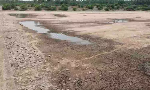 தண்ணீர் இல்லாமல் வறண்டு கிடக்கும் பெரிய ஆண்டாங்கோவில் தடுப்பணை