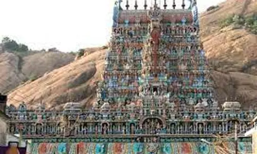 திருப்பரங்குன்றம் முருகப்பெருமானுக்கு முப்பழங்கள் படையல் நாளை மறுநாள் நடக்கிறது