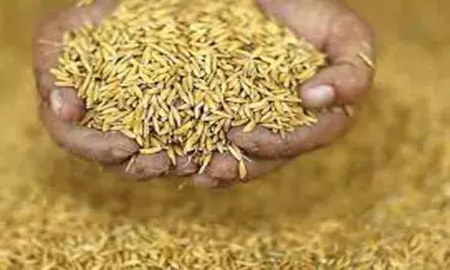 விதிகளை மீறிய ரூ.42 ஆயிரம் மதிப்புள்ள விதைகள் விற்பனை செய்ய தடை