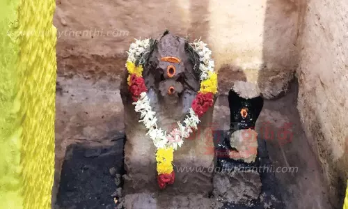 சேரன்மாதேவியில் மழை வேண்டி பிள்ளையாருக்கு மிளகு அபிஷேகம் சேரன்மாதேவியில் மழை வேண்டி பிள்ளையாருக்கு மிளகு அபிஷேகம்