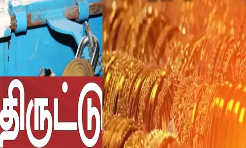 பட்டப்பகலில் அடுத்தடுத்த வீடுகளில் 29½ பவுன் நகை திருட்டு