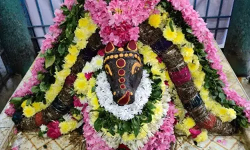 சனி பிரதோஷத்தையொட்டி கள்ளக்குறிச்சி பகுதி சிவன் கோவில்களில் சிறப்பு வழிபாடு