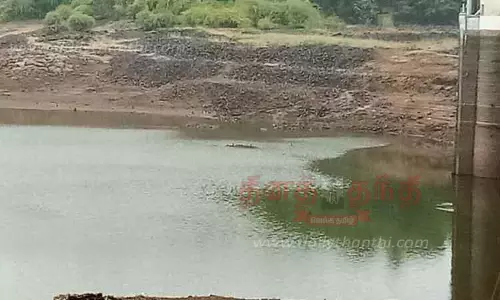பெருஞ்சாணி அணையில் 5 சதவீதம் தண்ணீர் மட்டுமே இருப்பு பெருஞ்சாணி அணையில் 5 சதவீதம் தண்ணீர் மட்டுமே இருப்பு