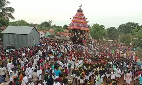 பரியாமருதுபட்டி சேவுக பெருமாள் கோவில் தேரோட்டம் திரளான பக்தர்கள் வடம் பிடித்து இழுத்தனர்