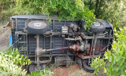 சரக்கு ஆட்டோ பள்ளத்தில் கவிழ்ந்தது