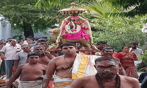 நெல்லையில் சிவன் கோவில்களில் சனி பிரதோஷ வழிபாடு